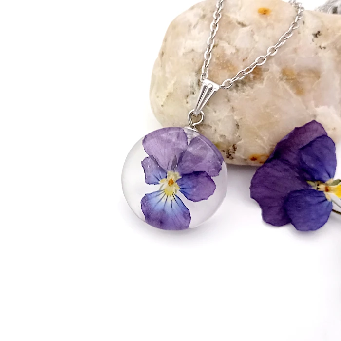 Viola