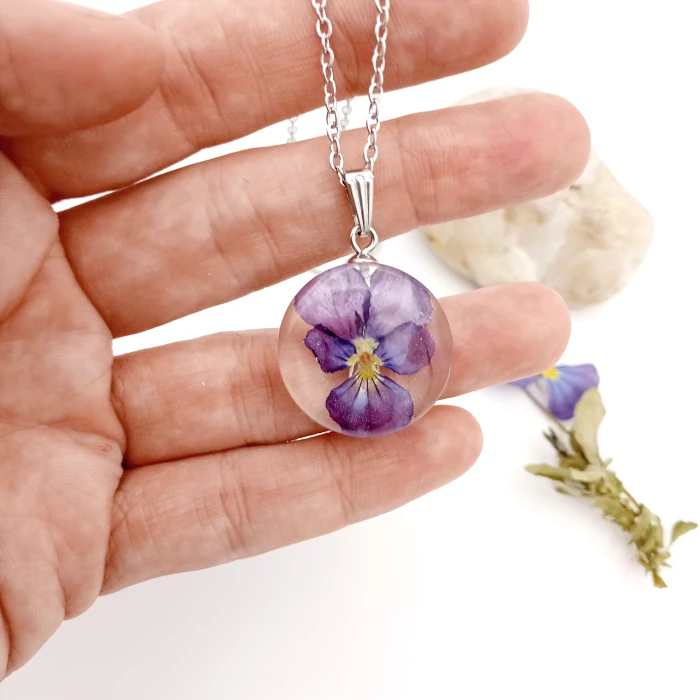 Viola