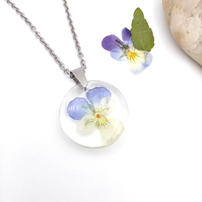 Viola