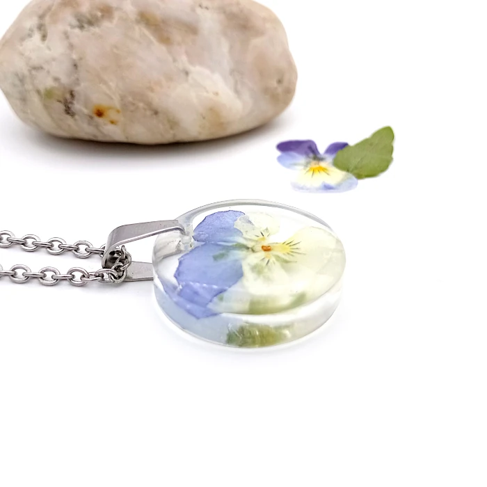 Viola