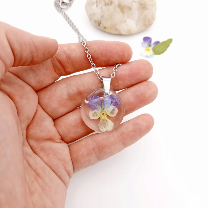 Viola