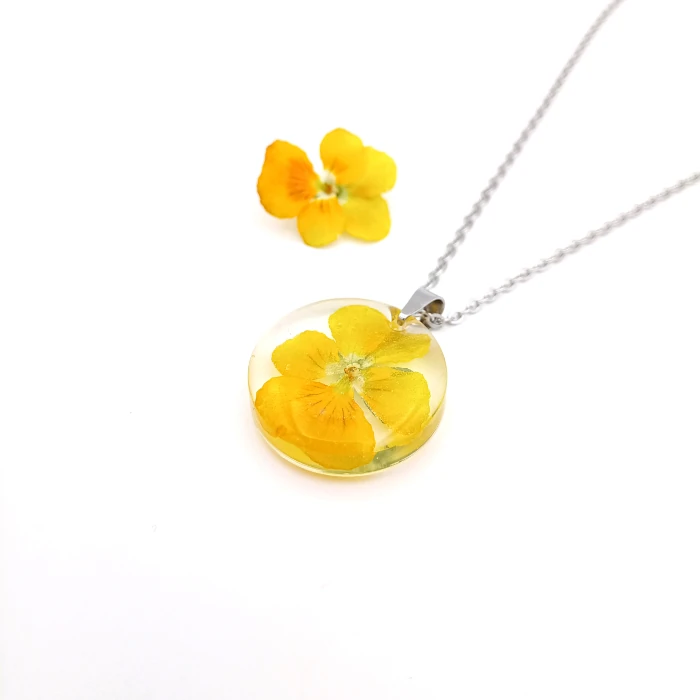 Viola 2