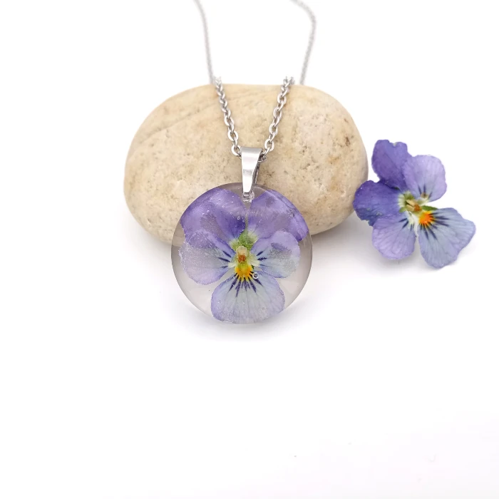 Viola 2