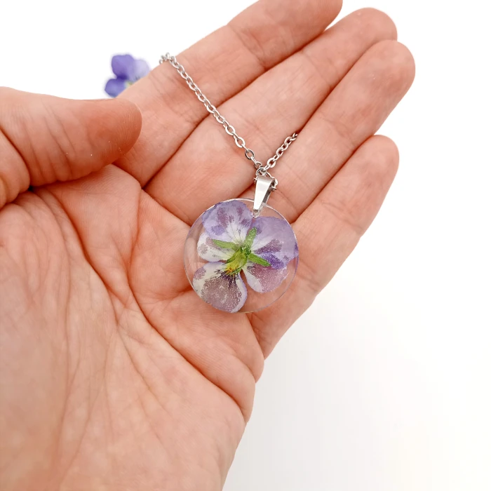 Viola 2