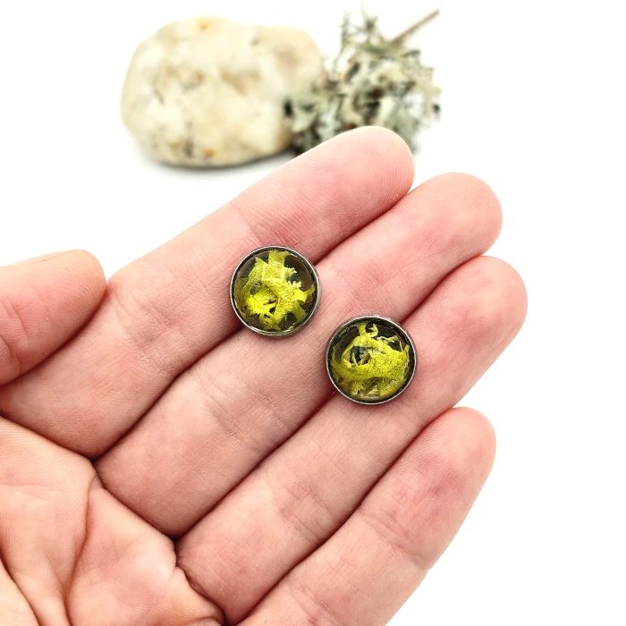 Náušnice - Lišajníčky 4